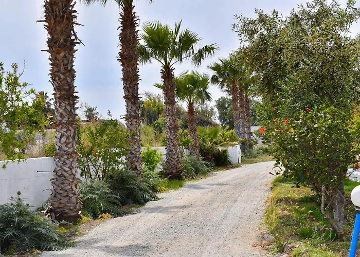 Daire Olympia Superior At Lambi